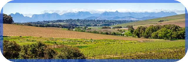 반포자이 가격 하락 실태와 부동산 시장 전망