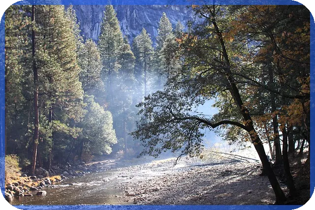 한남동유엔빌리지 프라이빗 빌라 매물 상세 소개