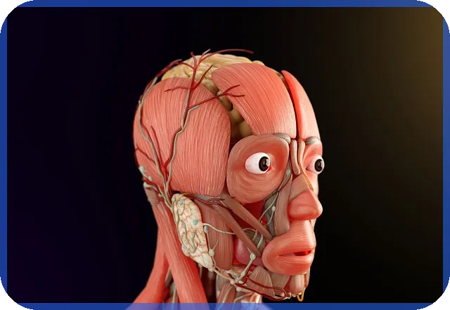 한온시스템주가 미래 성장과 전망은 어떻게 변화할까