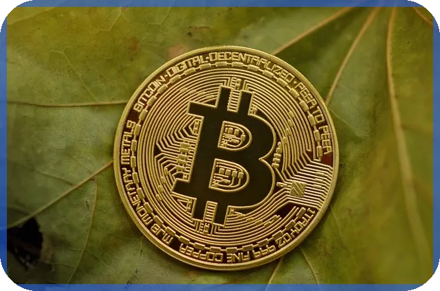 현금및현금성자산 관리와 은행계정조정 핵심 전략