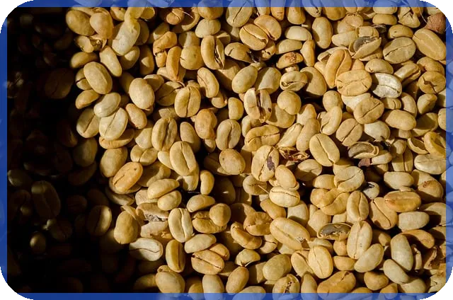 SK건설주가 전망 분석 실시간 IPO시장 동향과 전략