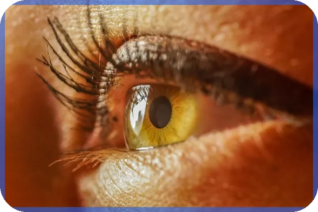 SK건설주가 전망 분석 실시간 IPO시장 동향과 전략