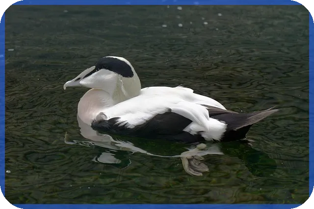 SK건설주가 전망 분석 실시간 IPO시장 동향과 전략