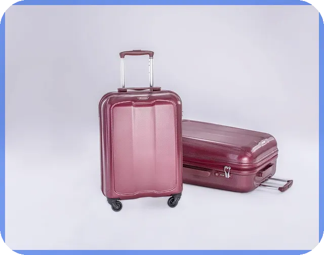 뉴스테이 성공 비결과 최신 사례 분석