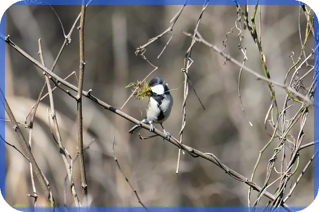 대부업체 대출 서류 준비 가이드 핵심 안내
