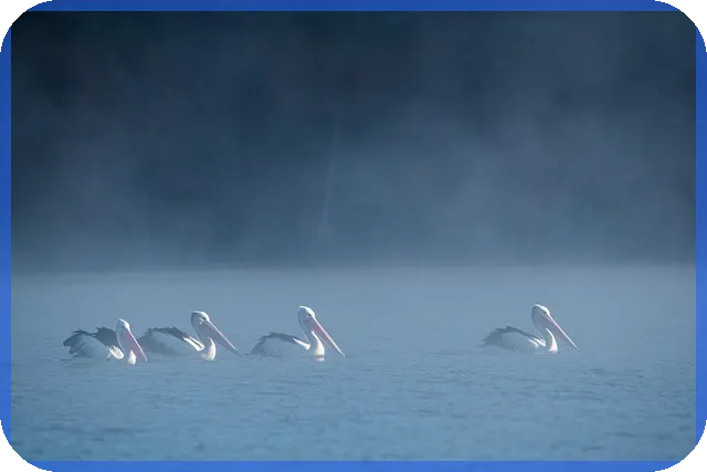 대부업체 신규대출 빠른 승인 7곳 필수 확인