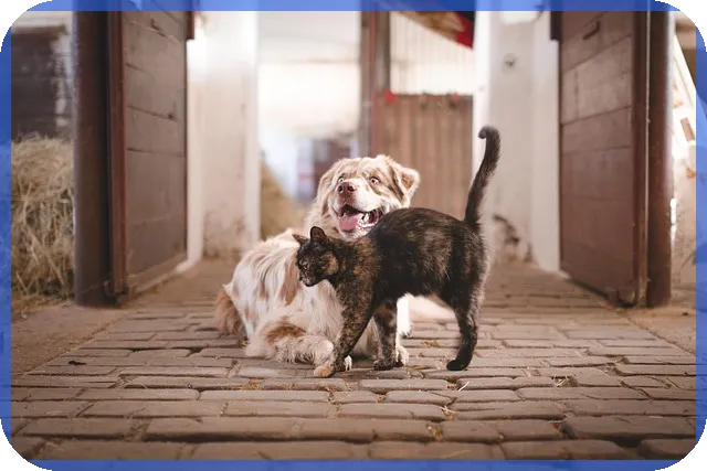 대부업체 신규대출 빠른 승인 7곳 필수 확인