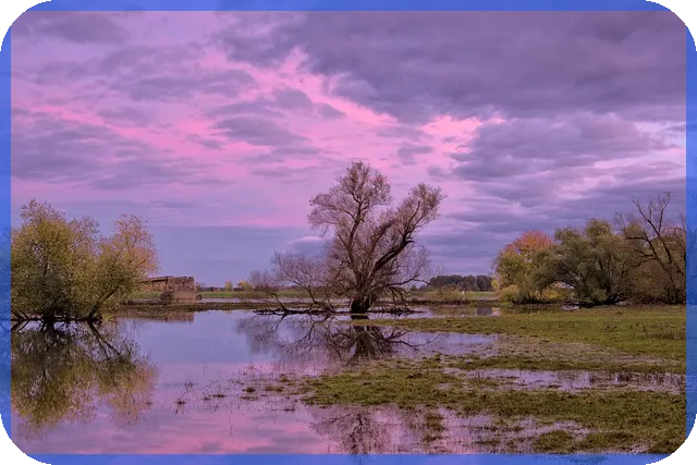 대출과 법정이자 이해하기 쉽고 명확하게 분석