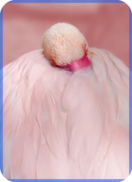 대출과 법정이자 이해하기 쉽고 명확하게 분석