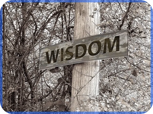 대출 플랫폼 이용 가이드와 최신 트렌드 분석