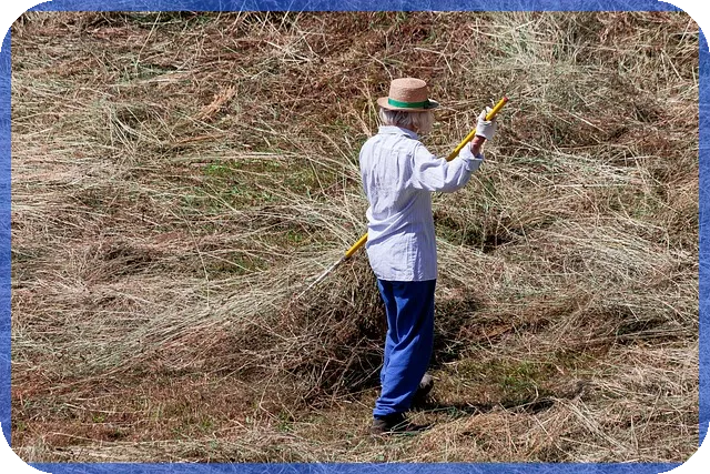 대출 확인으로 나에게 맞는 최적 대출 조건 찾기