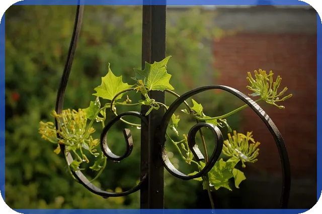 대출 확인으로 나에게 맞는 최적 대출 조건 찾기