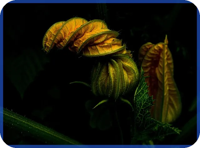 대환대출 뜻과 조건 모두 파악하기