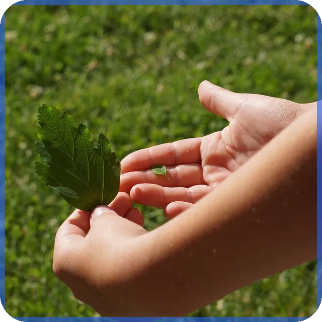 대환대출 뜻과 조건 모두 파악하기