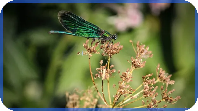 대환대출 뜻과 조건 모두 파악하기