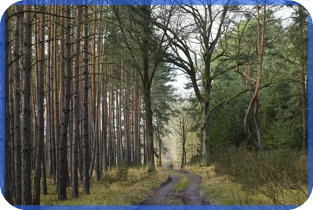 디딤돌대출 갈아타기으로 금리절감하는 방법