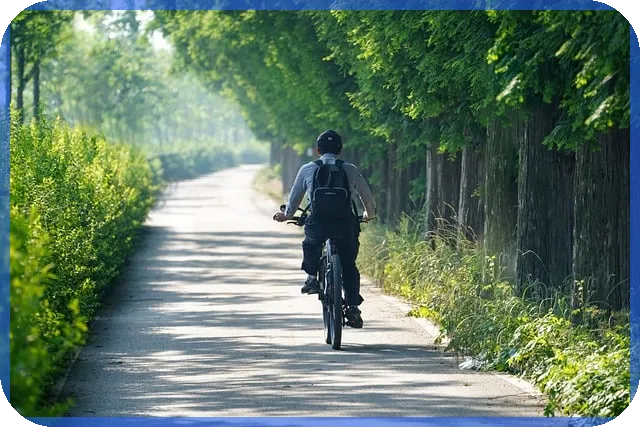 디딤돌대출 한도 최대 현황과 신청요령