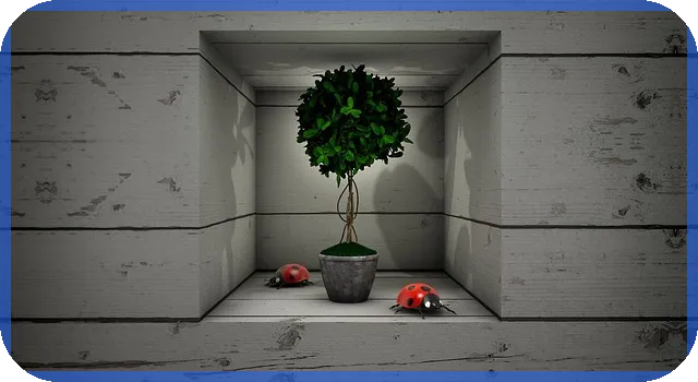 디딤돌대출 한도 최대 현황과 신청요령