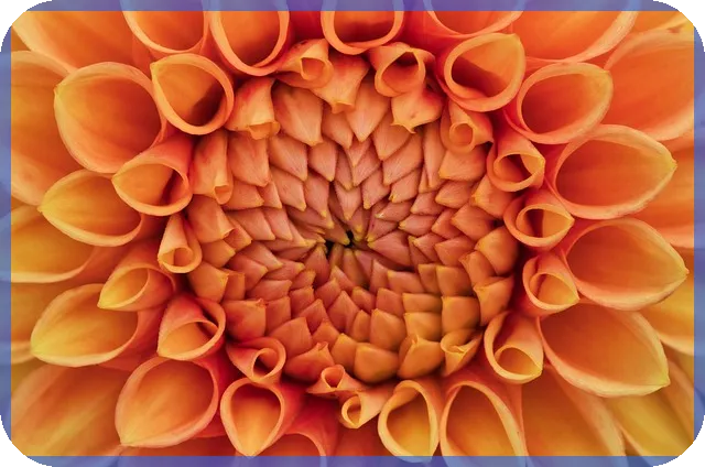 디딤돌대출 한도 최대 현황과 신청요령