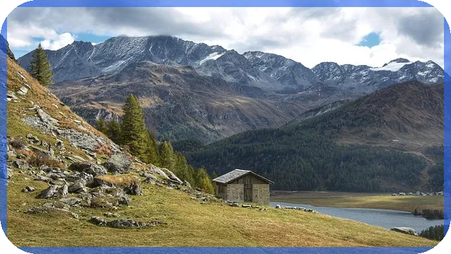 디케이락주가 분석과 2024년 기업전망은 어떤가