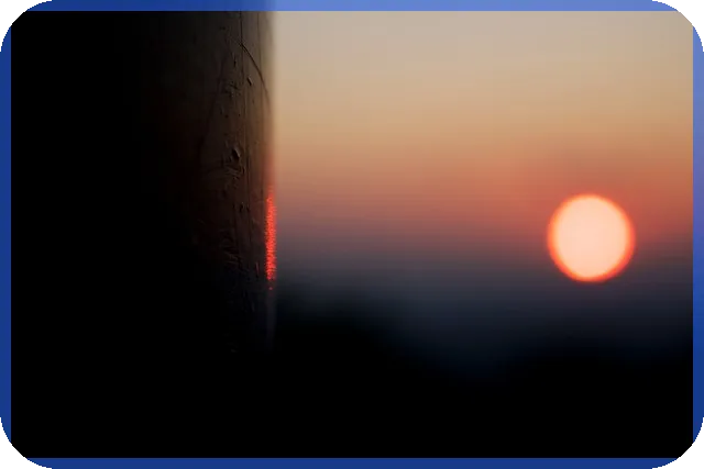 라피아노스위첸양주옥정 분양가와 투자 기회 분석