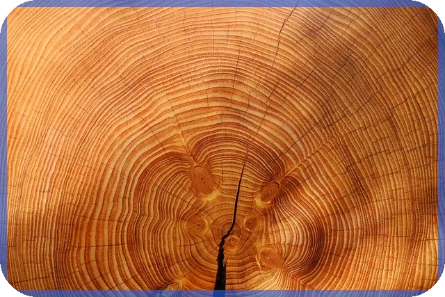 라피아노스위첸양주옥정 분양가와 투자 기회 분석