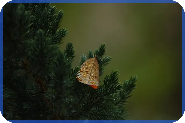 망가진 것 아닌 맘스터치주식 상장폐지 후 현재 상황은