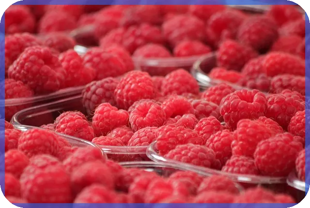 망가진 것 아닌 맘스터치주식 상장폐지 후 현재 상황은