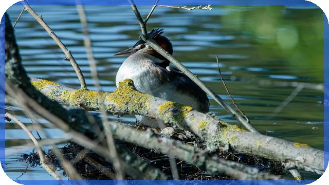 바이오스마트주가 미래 진단키트 시장 향방