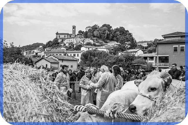 소액대출 400만원 쉽게 받는 방법은?