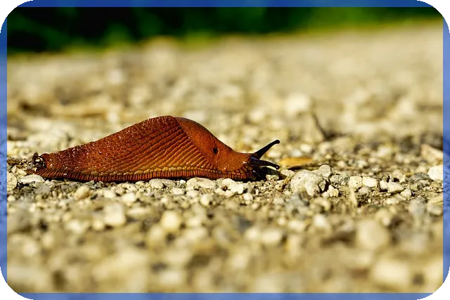 시골땅매매로 노후 걱정 끝내기 인공지능 농지 활용법