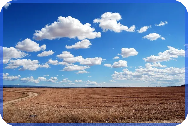 시골땅매매로 노후 걱정 끝내기 인공지능 농지 활용법