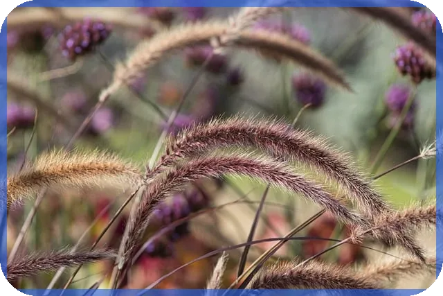 식품위생교육 온라인 수강법과 최신 정책 전략