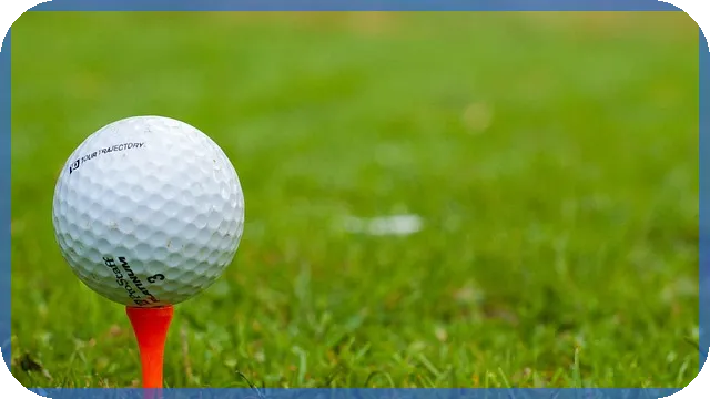 식품위생교육 온라인 수강법과 최신 정책 전략