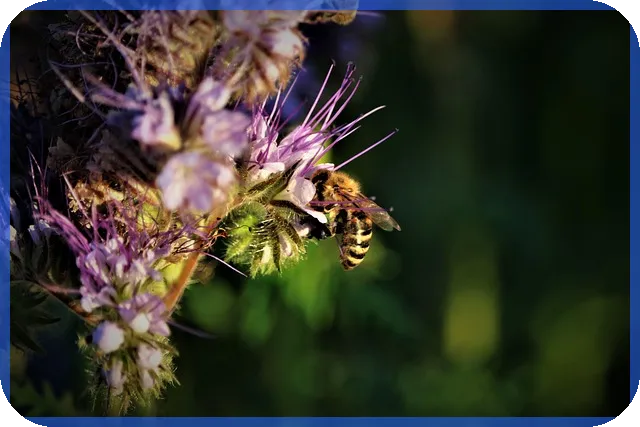 신영증권계좌개설로 공모주 청약 준비하기