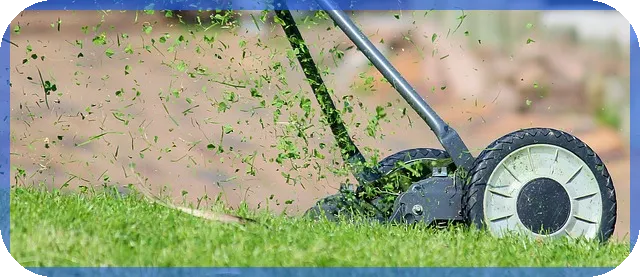 아이스크림주식 제주아이스크림의 건강 아이스크림 생산과 온라인 판매 전략은 무엇일까