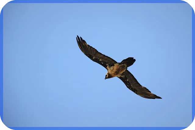 아이스크림주식 제주아이스크림의 건강 아이스크림 생산과 온라인 판매 전략은 무엇일까