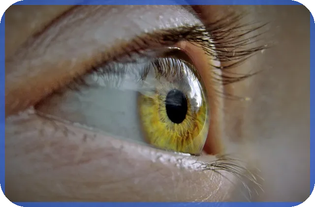 외국인 대출 규제 완화로 충청권 부동산 매수 급증