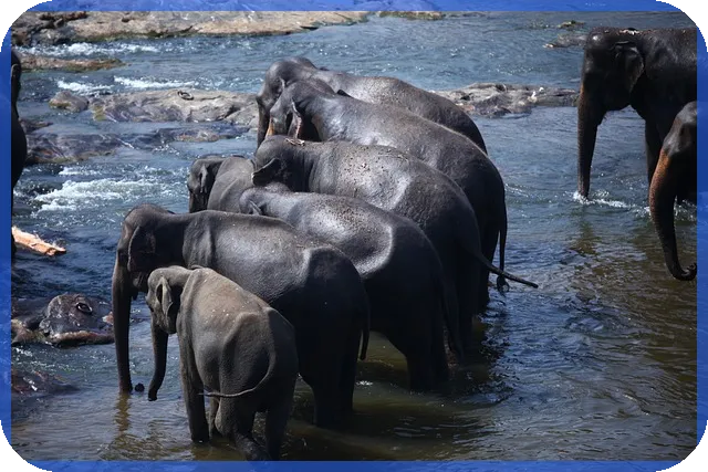 울산덕하에일린의뜰2차 신축 아파트 분양 가이드