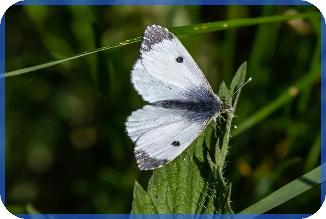 전세자금대출 소득공제 완벽 가이드 2025년 절세 전략