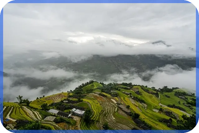 전세자금대출 소득공제 완벽 가이드 2025년 절세 전략