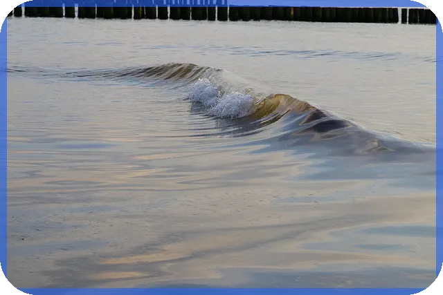 신한은행 전세자금대출조건표로 알아보는 혜택과 조건