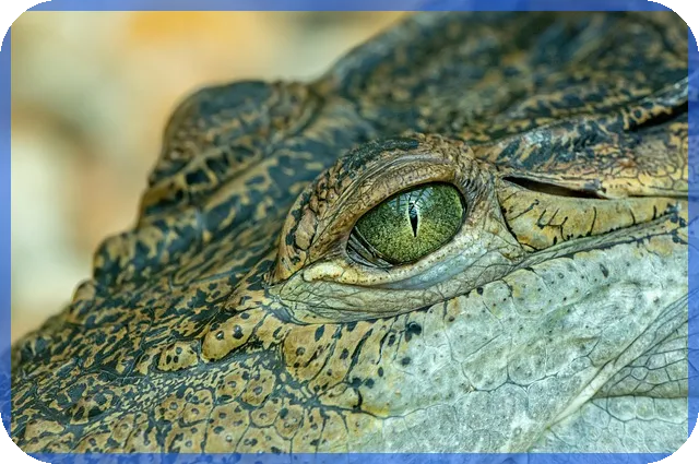 정부지원 채무통합 대환대출로 신용회복과 부담 경감 가능