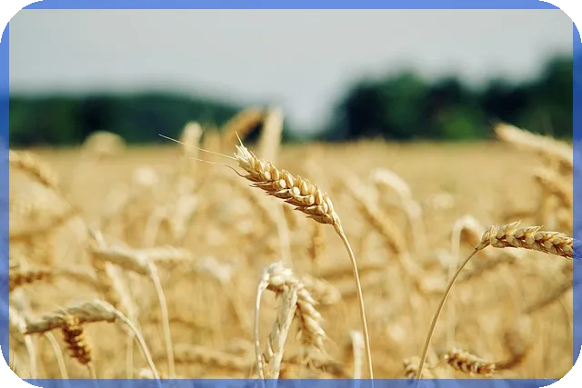 주택자금대출 금리 최신 동향과 혜택 분석