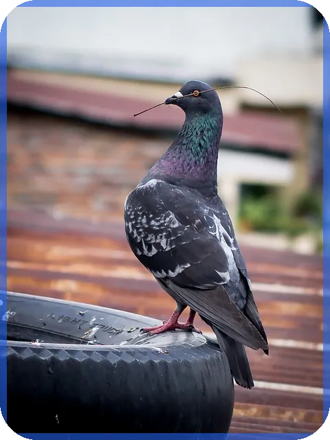 중고차담보대출금리 최대한 낮추는 방법은 무엇일까