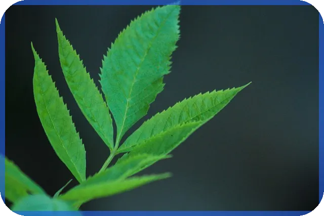 채무통합 대환대출이 개인회생보다 유리한 이유는 무엇일까