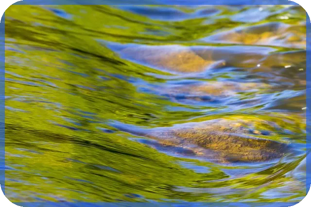 채무통합 대환대출이 개인회생보다 유리한 이유는 무엇일까