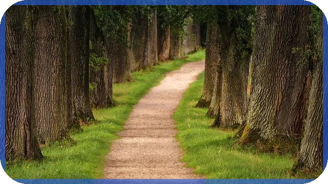 천안금거래소 최고가 매입 전략과 금 거래 노하우 공개