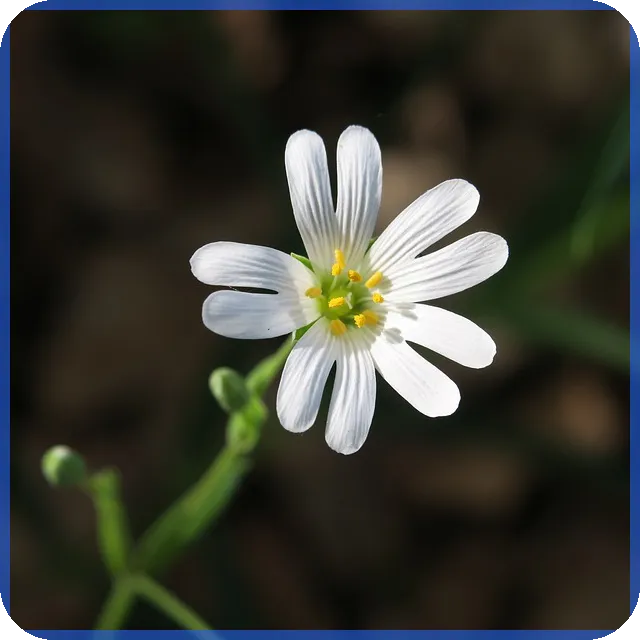 천안금거래소 최고가 매입 전략과 금 거래 노하우 공개