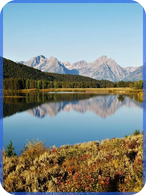 청년 전세대출 금리 조건 완전 정리